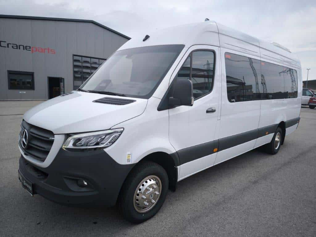 Mercedes Benz 519 CDI Schulbus m. Rampe - Image 3